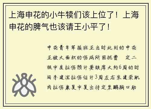 上海申花的小牛犊们该上位了！上海申花的脾气也该请王小平了！