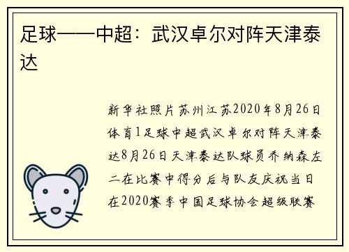 足球——中超：武汉卓尔对阵天津泰达