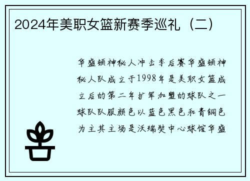 2024年美职女篮新赛季巡礼（二）